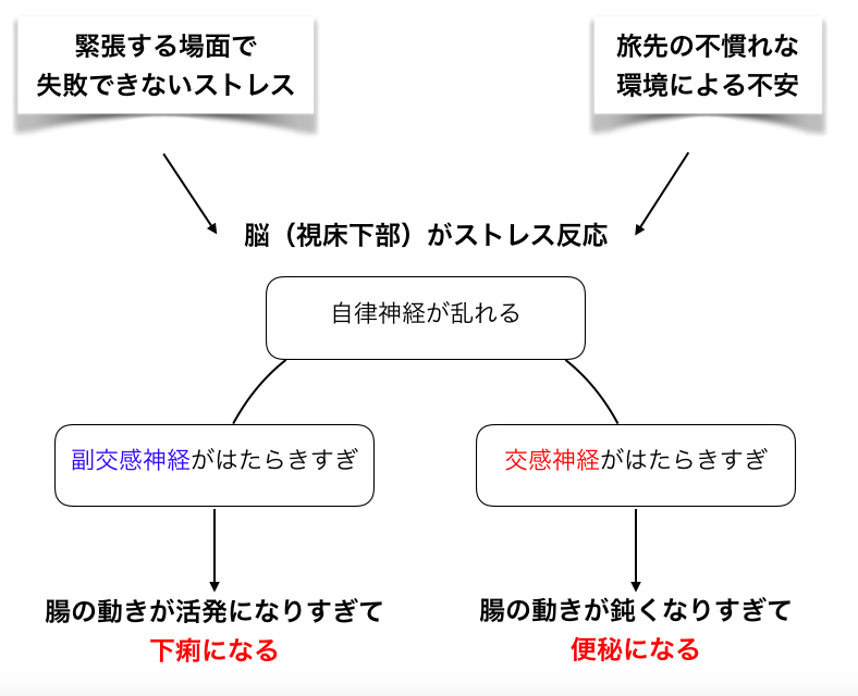 腸と脳の関係