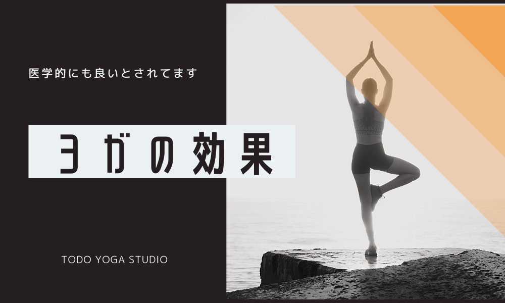 なぜヨガは人気なのか！？ヨガの効果についてご紹介